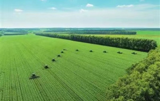 “農業機器人”中耕管理顯身手