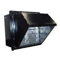 WEXDϵ��߅���S���L(f��ng)�C(j��)